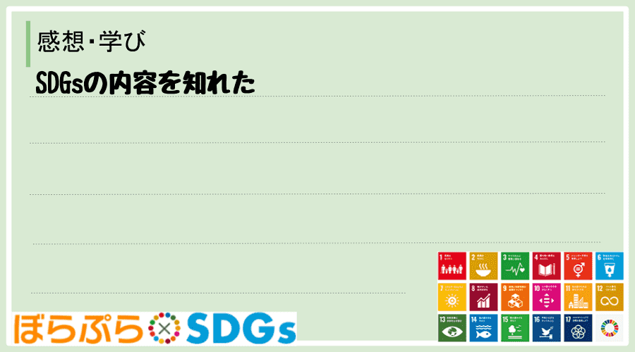 わたしのSDGsアクション・感想