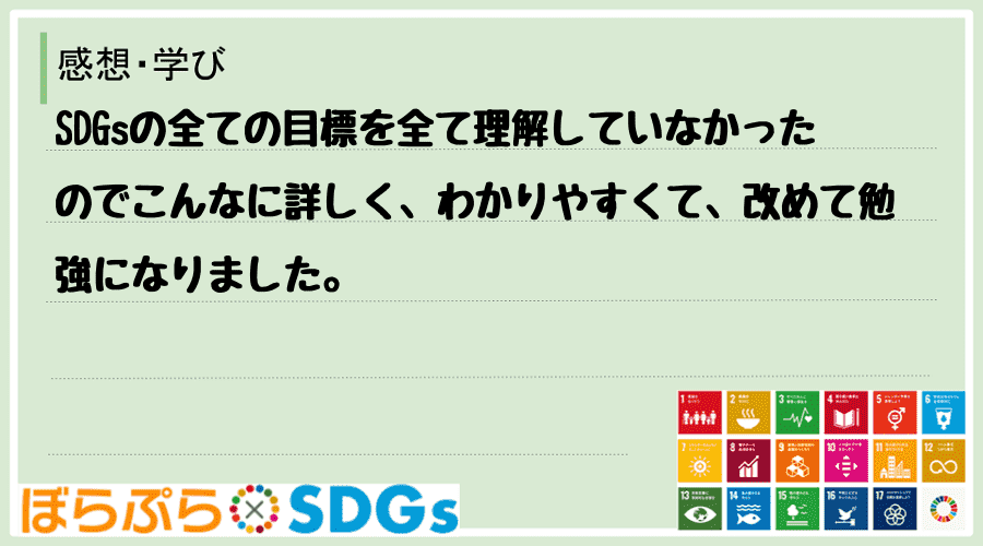 SDGsの全ての目標を全て理解していなかったのでこんなに詳しく、わかりやすくて、改めて勉強にな...