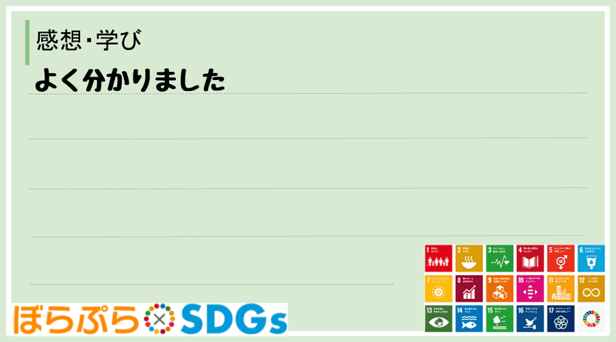 わたしのSDGsアクション・感想