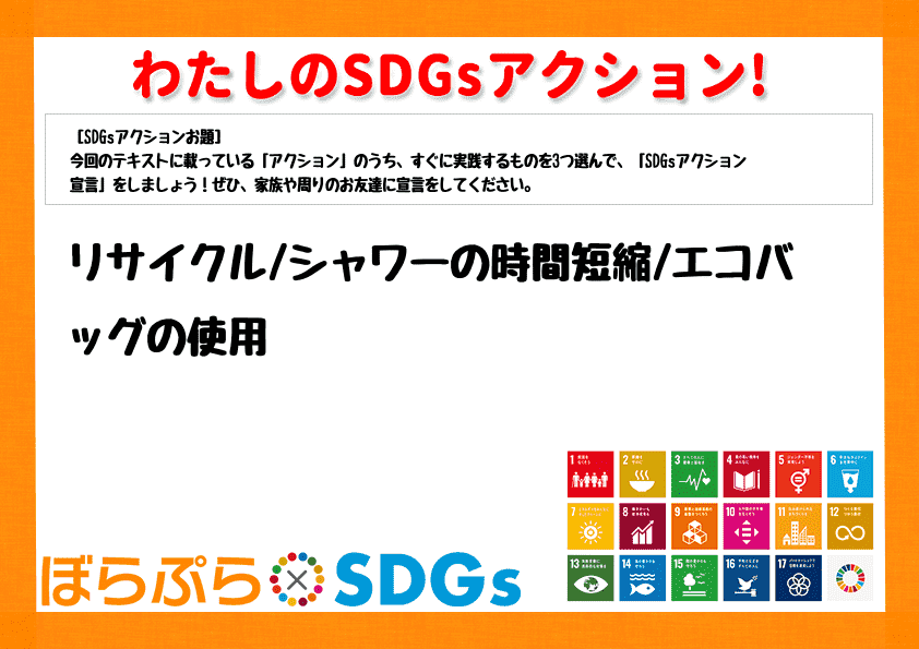 リサイクル
シャワーの時間短縮
エコバッグの使用