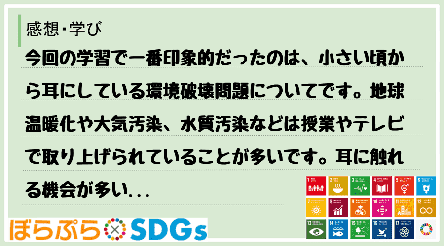 今回の学習で一番印象的だったのは、小さい頃から耳にしている環境破壊問題についてです。地球温暖化...