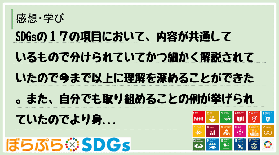 SDGsの１７の項目において、内容が共通しているもので分けられていてかつ細かく解説されていたの...