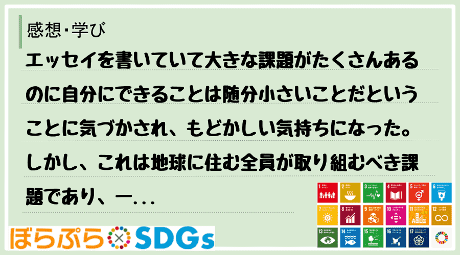 わたしのSDGsアクション・感想