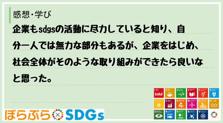 企業もsdgsの活動に尽力していると知り、自分一人では無力な部分もあるが、企業をはじめ、社会全...