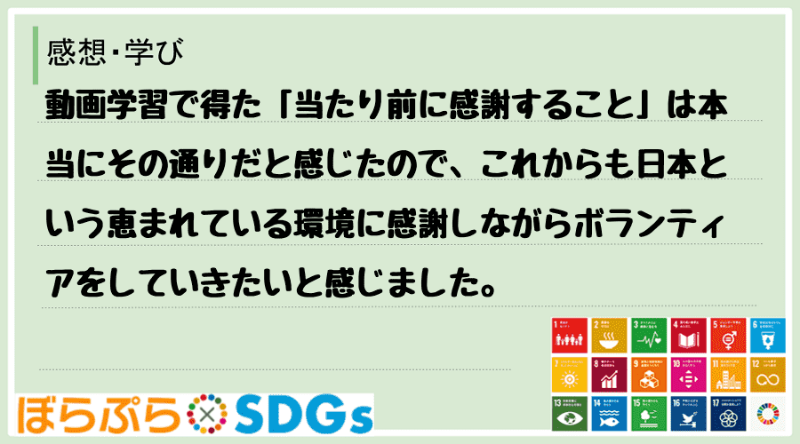 わたしのSDGsアクション・感想