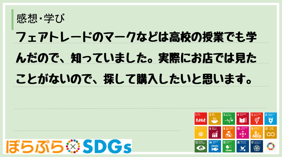 わたしのSDGsアクション・感想