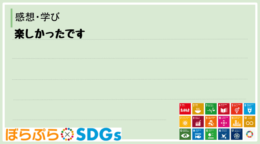 わたしのSDGsアクション・感想