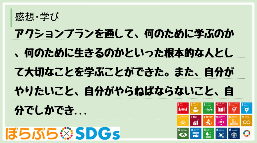 わたしのSDGsアクション・感想