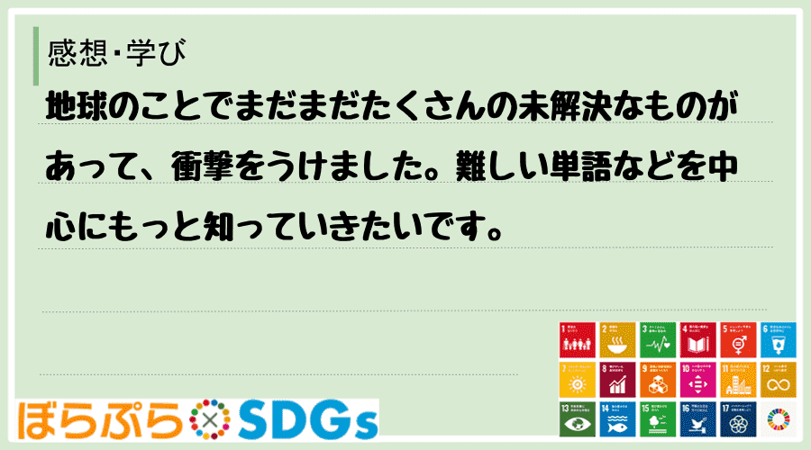 わたしのSDGsアクション・感想