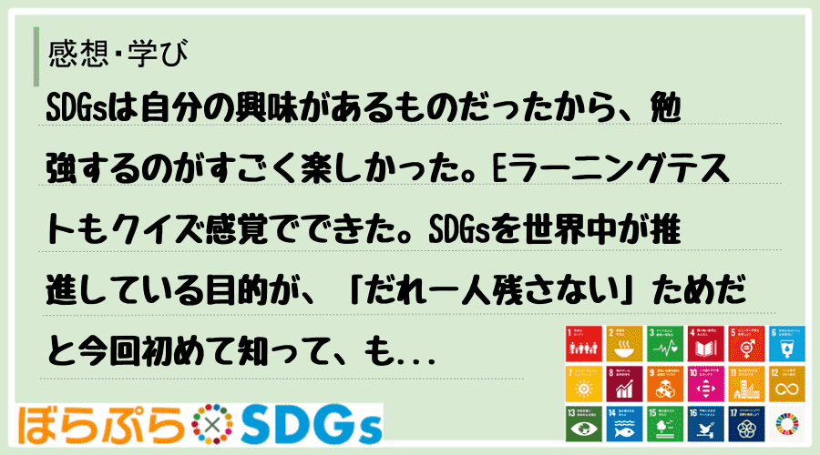 SDGsは自分の興味があるものだったから、勉強するのがすごく楽しかった。Eラーニングテストもク...