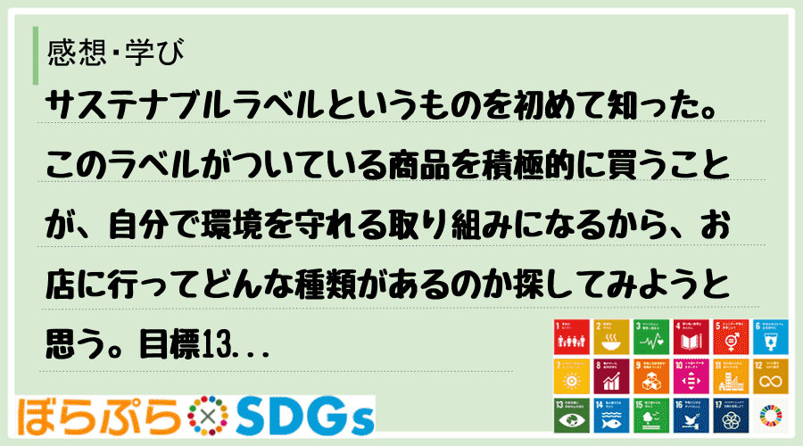 わたしのSDGsアクション・感想