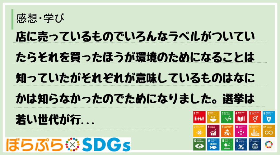 わたしのSDGsアクション・感想