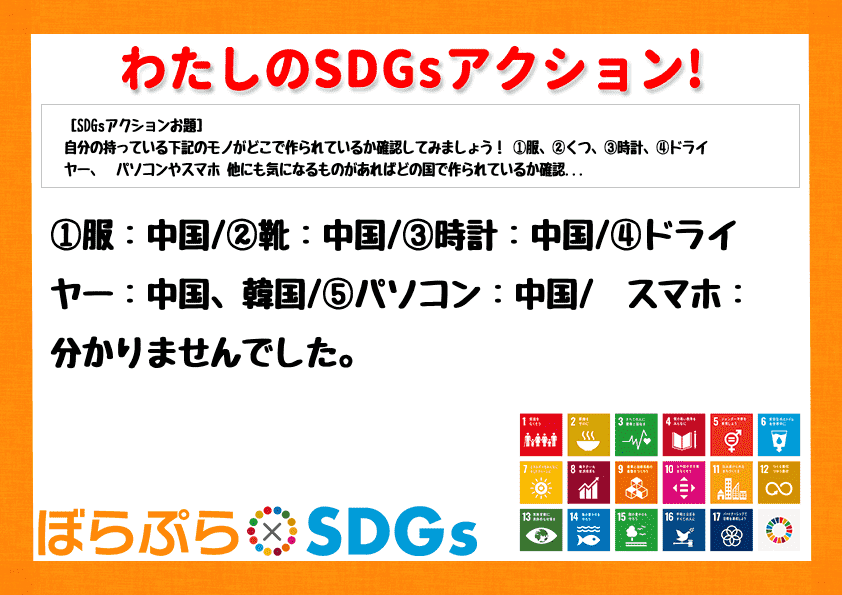 わたしのSDGsアクション・感想