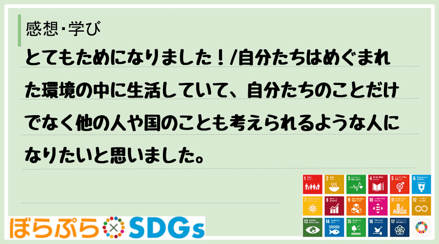 わたしのSDGsアクション・感想