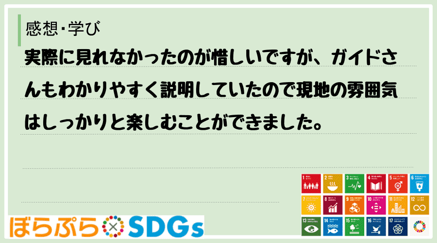 わたしのSDGsアクション・感想