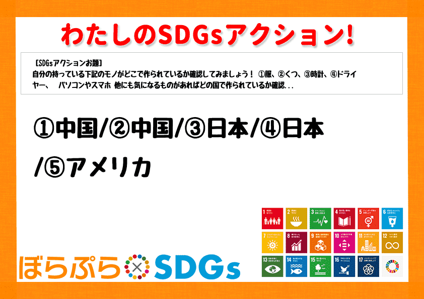 わたしのSDGsアクション・感想