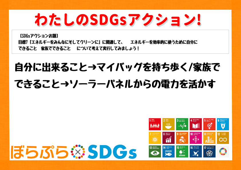 自分に出来ること→マイバッグを持ち歩く
家族でできること→ソーラーパネルからの電力を活かす