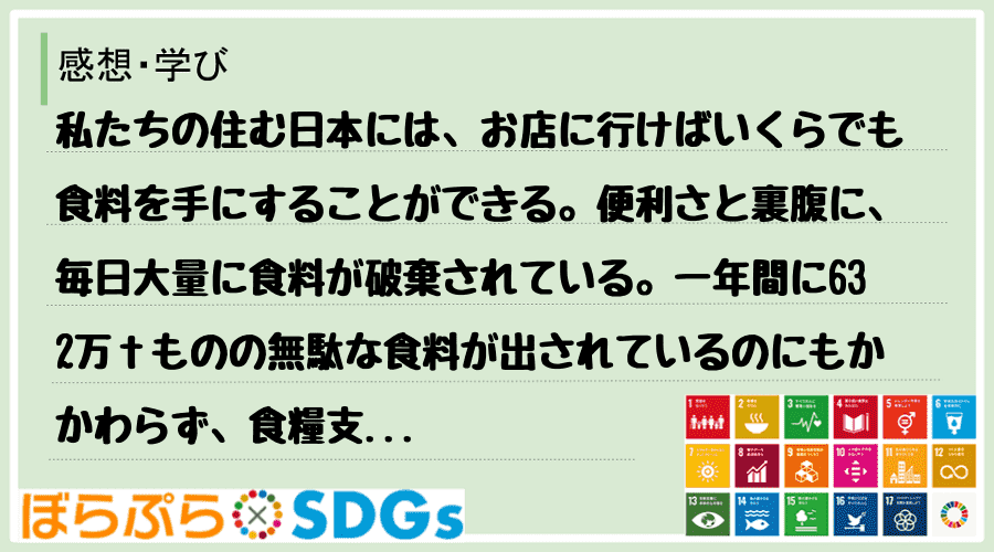 わたしのSDGsアクション・感想