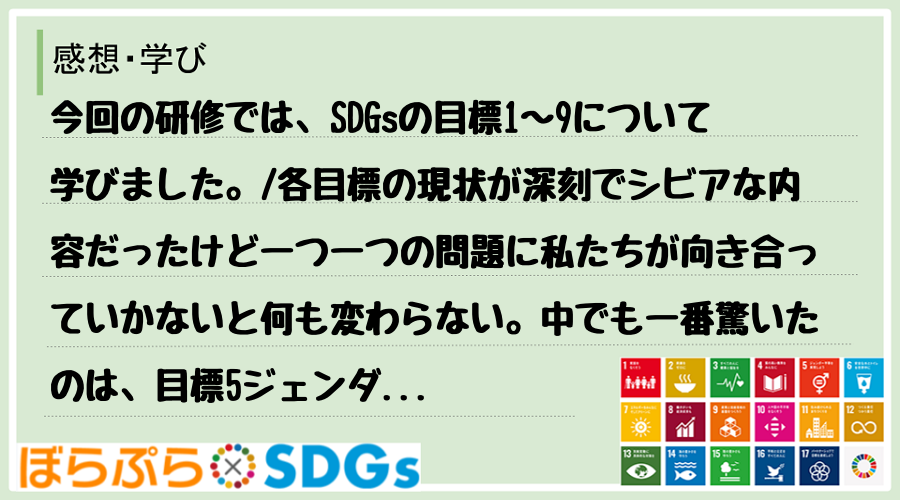 今回の研修では、SDGsの目標1〜9について学びました。
各目標の現状が深刻でシビアな内容だ...