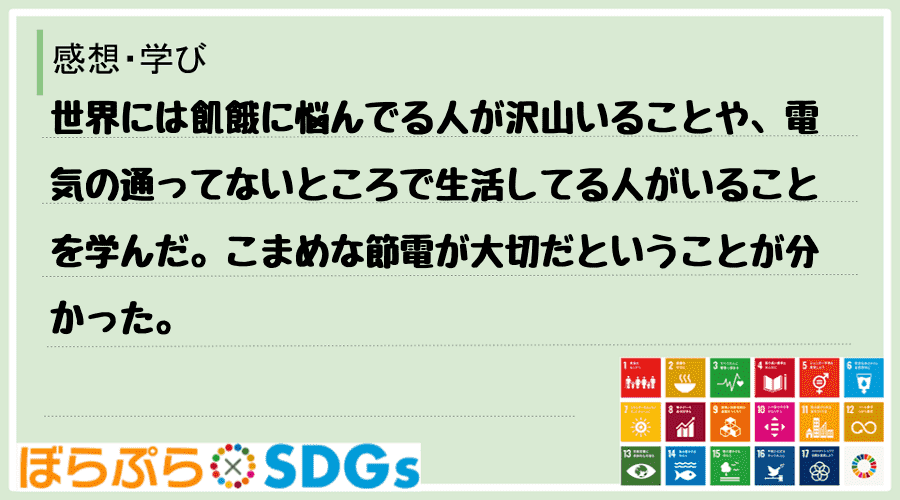 わたしのSDGsアクション・感想