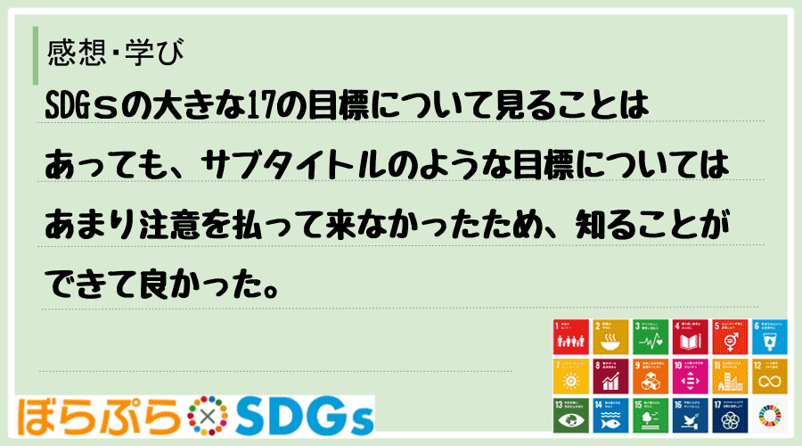 SDGｓの大きな17の目標について見ることはあっても、サブタイトルのような目標についてはあまり...