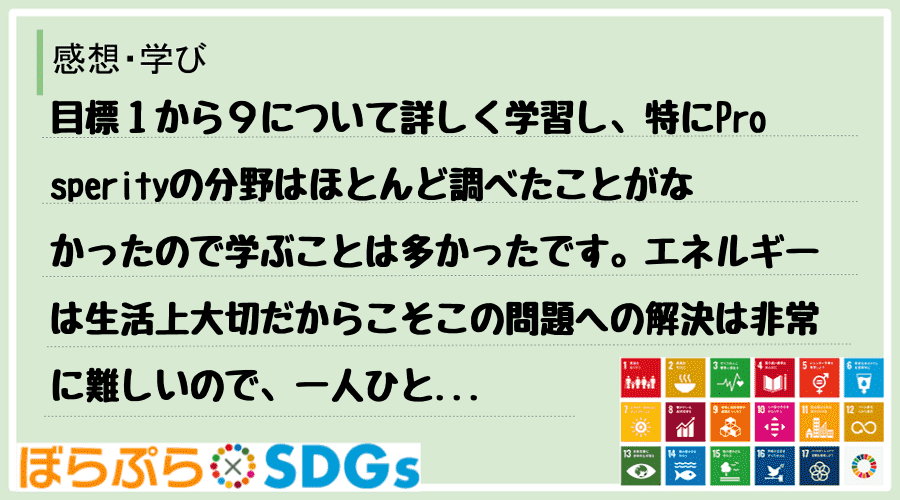 目標１から９について詳しく学習し、特にProsperityの分野はほとんど調べたことがなかった...