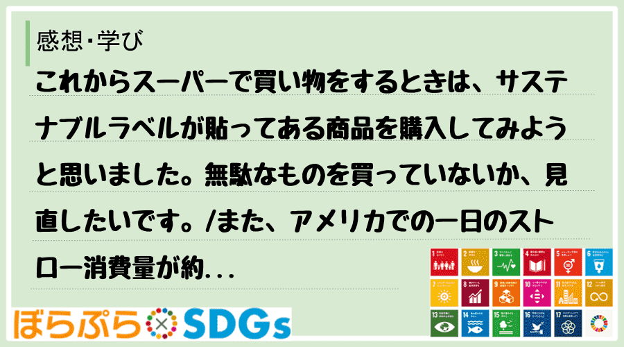 わたしのSDGsアクション・感想