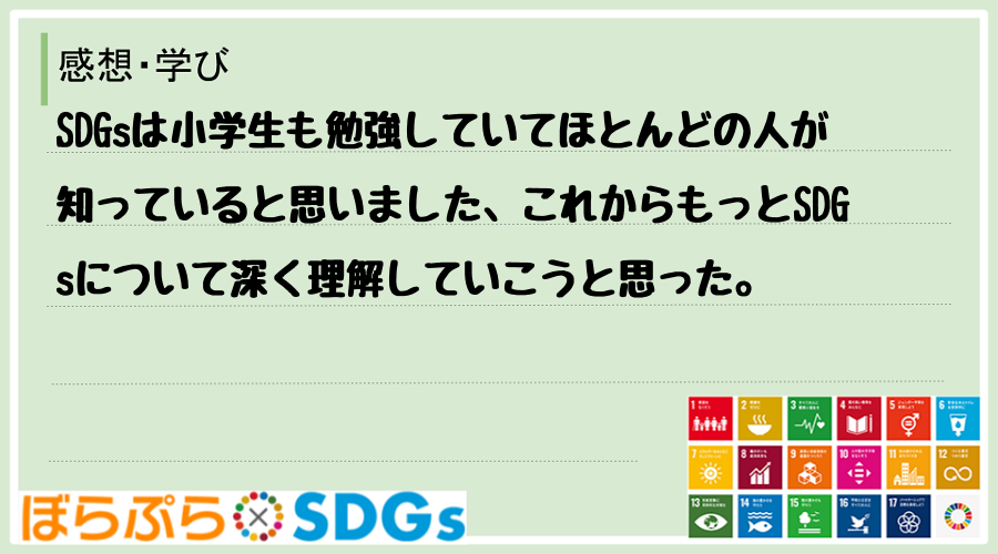 SDGsは小学生も勉強していてほとんどの人が知っていると思いました、これからもっとSDGsにつ...