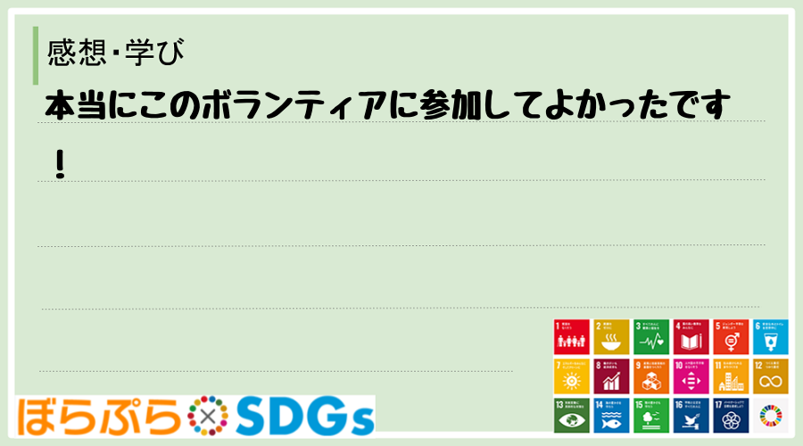 本当にこのボランティアに参加してよかったです！