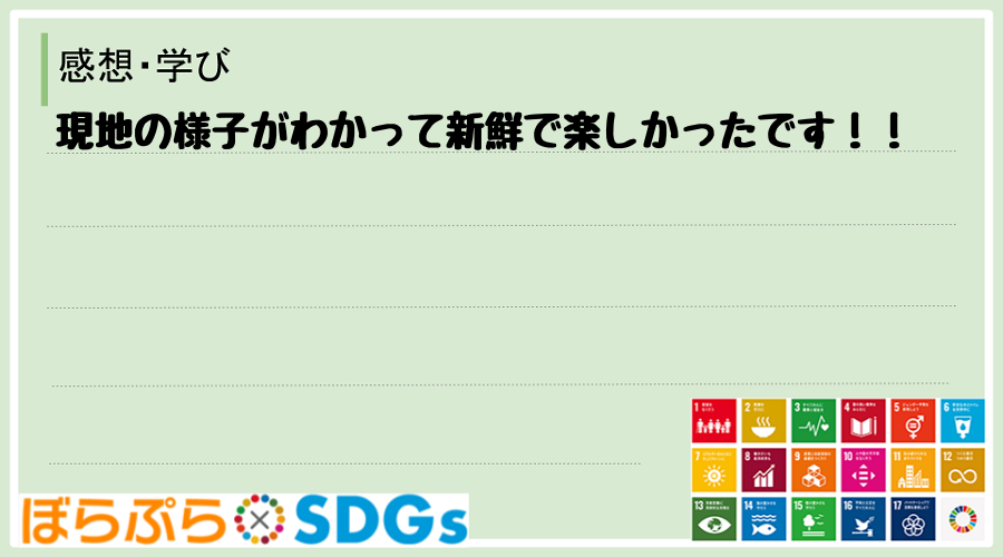 現地の様子がわかって新鮮で楽しかったです！！