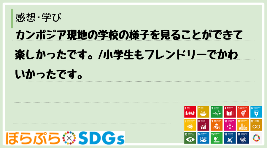 わたしのSDGsアクション・感想