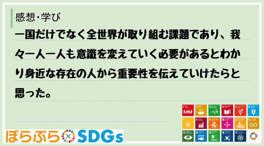 わたしのSDGsアクション・感想