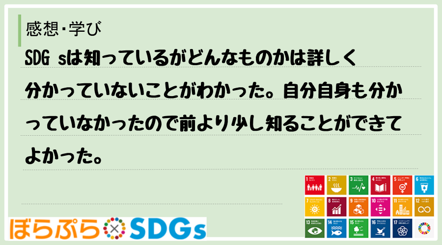 SDG sは知っているがどんなものかは詳しく分かっていないことがわかった。自分自身も分かってい...