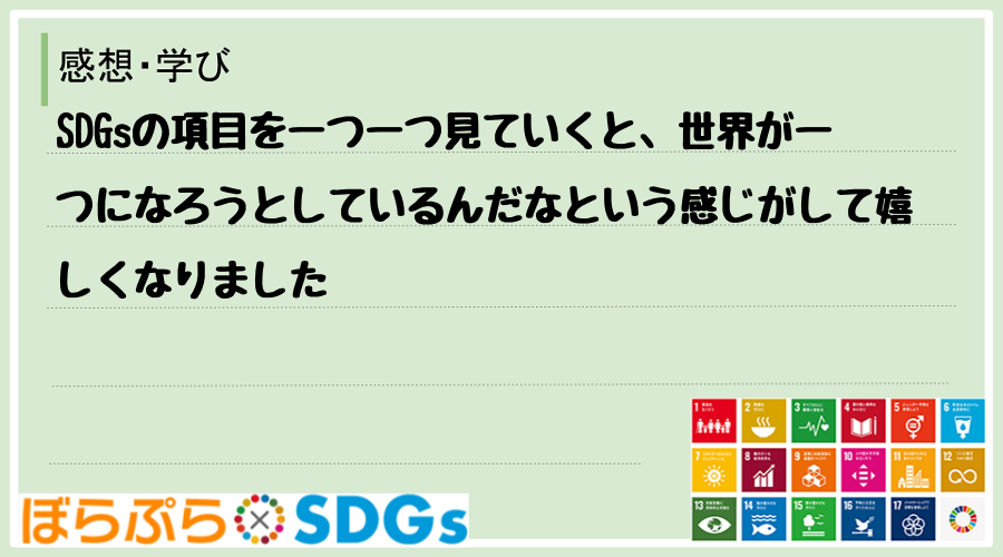 SDGsの項目を一つ一つ見ていくと、世界が一つになろうとしているんだなという感じがして嬉しくな...
