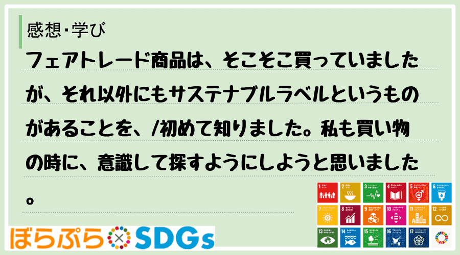 わたしのSDGsアクション・感想