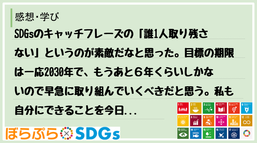 SDGsのキャッチフレーズの「誰1人取り残さない」というのが素敵だなと思った。目標の期限は一応...