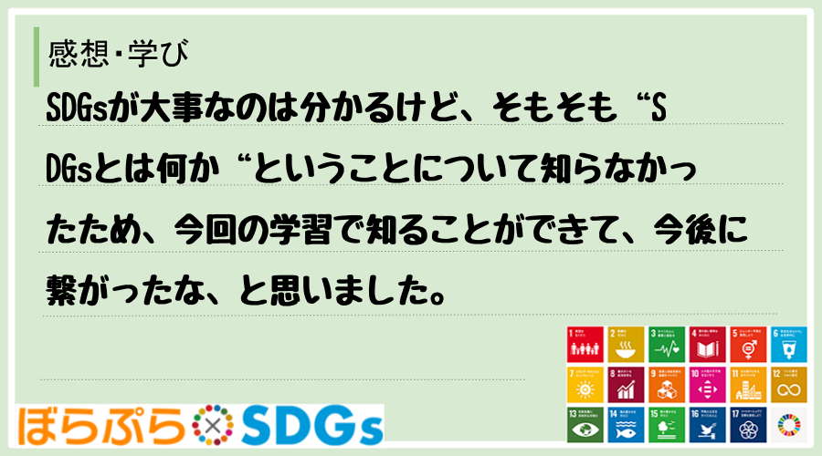 SDGsが大事なのは分かるけど、そもそも“SDGsとは何か“ということについて知らなかったため...