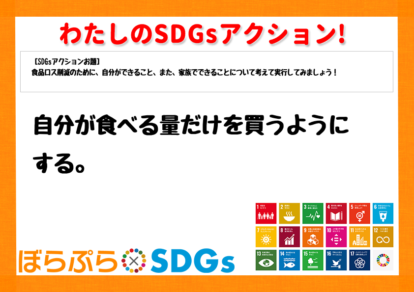 わたしのSDGsアクション・感想