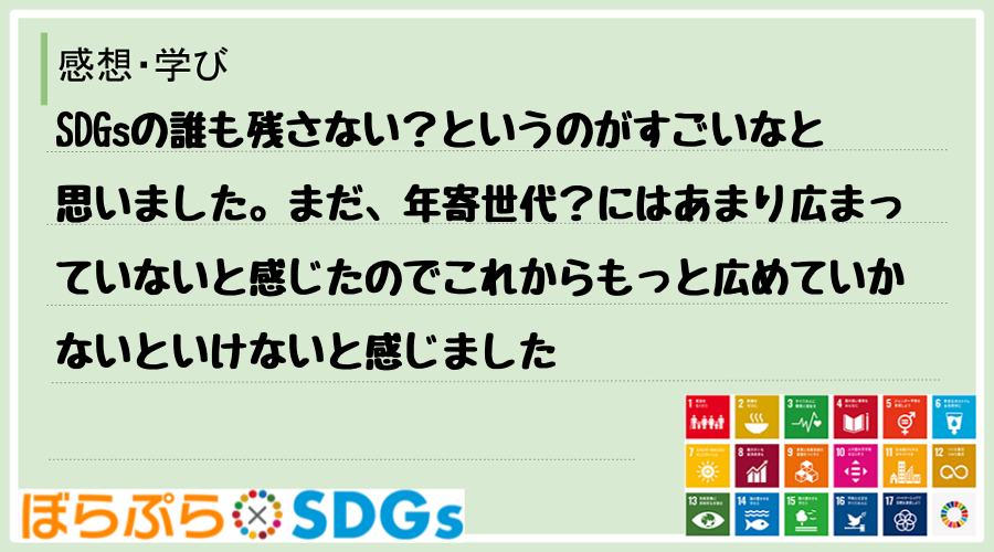 SDGsの誰も残さない？というのがすごいなと思いました。まだ、年寄世代？にはあまり広まっていな...