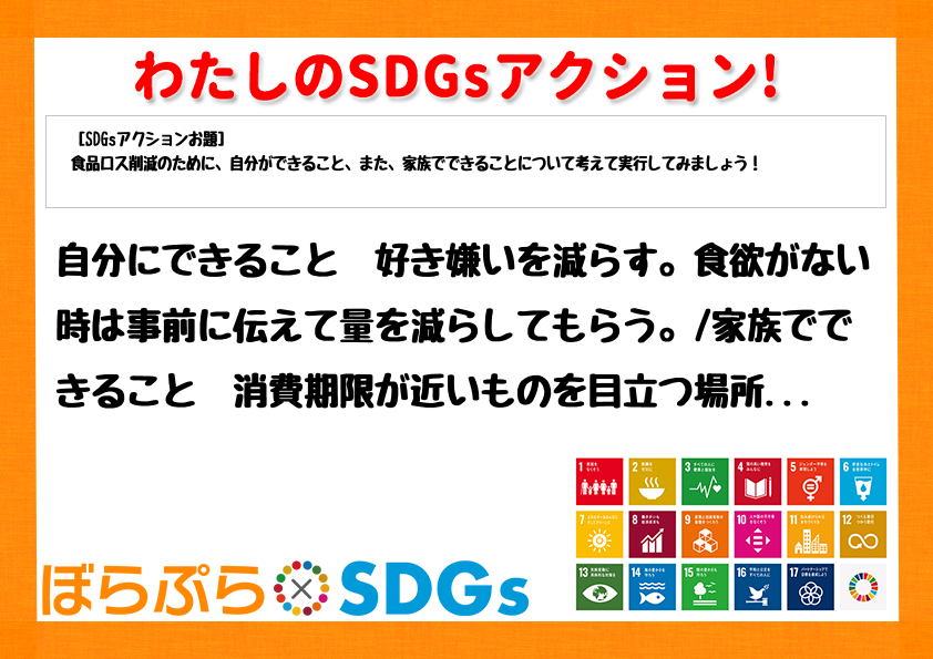 わたしのSDGsアクション・感想