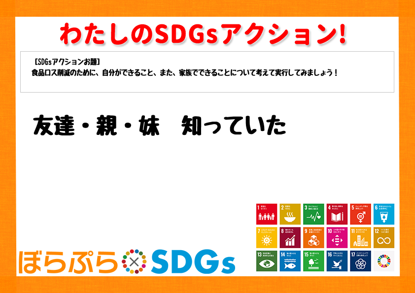 わたしのSDGsアクション・感想