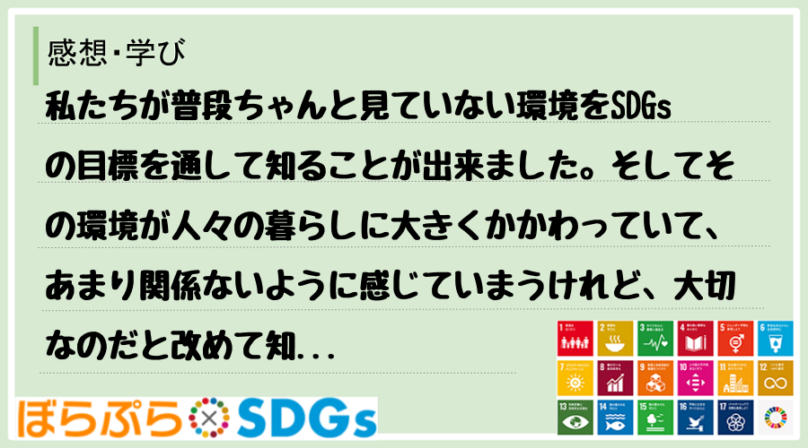 私たちが普段ちゃんと見ていない環境をSDGsの目標を通して知ることが出来ました。そしてその環境...