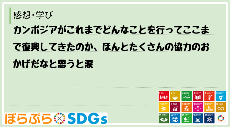 わたしのSDGsアクション・感想