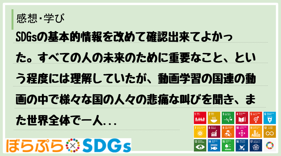 SDGsの基本的情報を改めて確認出来てよかった。すべての人の未来のために重要なこと、という程度...