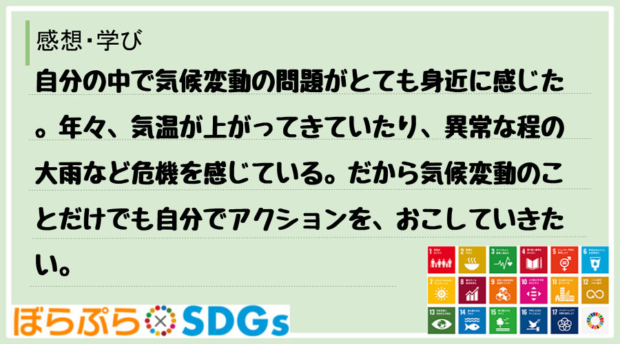 わたしのSDGsアクション・感想