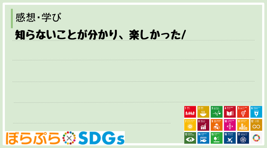 わたしのSDGsアクション・感想