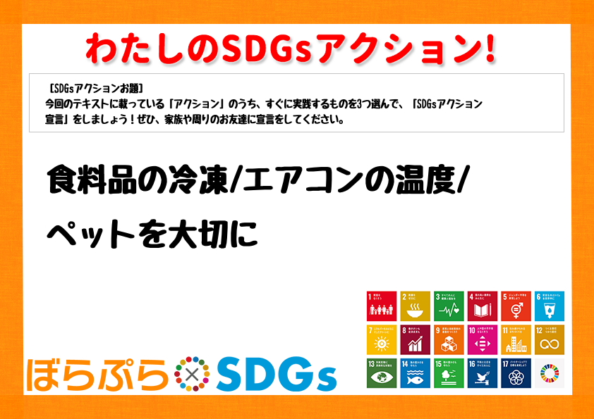 わたしのSDGsアクション・感想