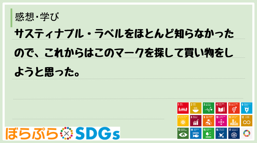 わたしのSDGsアクション・感想