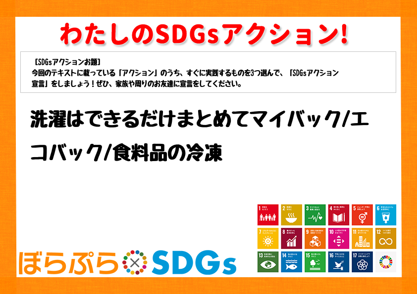 わたしのSDGsアクション・感想