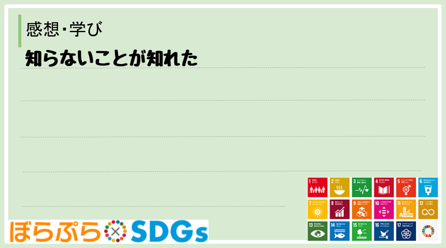 わたしのSDGsアクション・感想